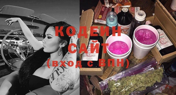 индика Горно-Алтайск