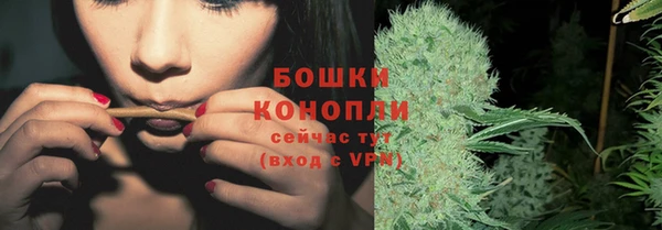 индика Горно-Алтайск