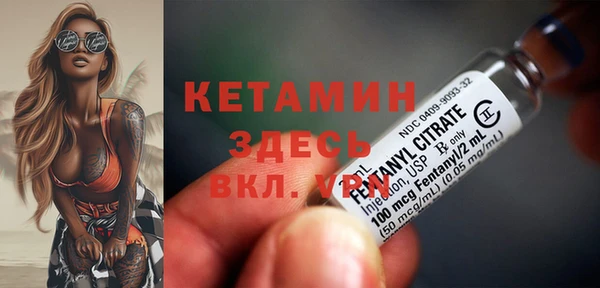 индика Горно-Алтайск