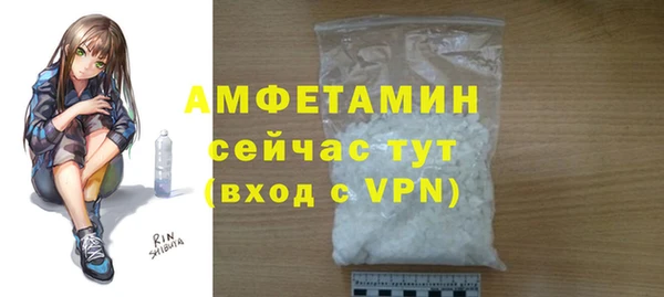 индика Горно-Алтайск