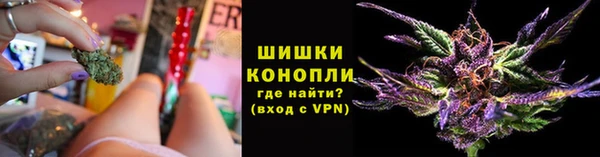 Альфа ПВП Горнозаводск
