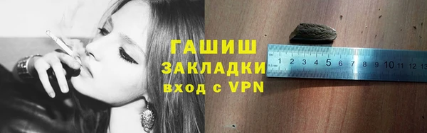 индика Горно-Алтайск