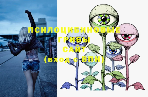 таблы Горняк