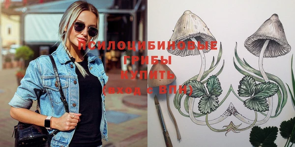 таблы Горняк