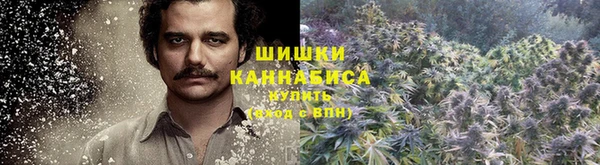индика Горно-Алтайск