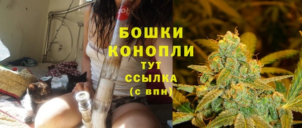 индика Горно-Алтайск