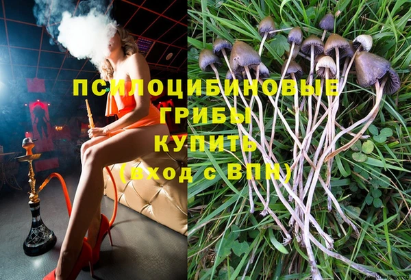 таблы Горняк