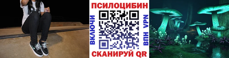 Псилоцибиновые грибы Psilocybe  darknet наркотические препараты  Красноярск  наркотики 